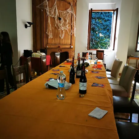 Kit Amorovieto